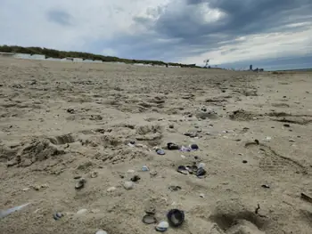 Bredene (België)